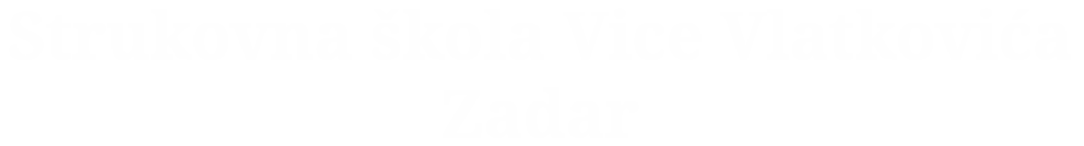 Strukovna škola Vice Vlatkovića